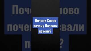 Почему Слово почему Назвали почему? #почему