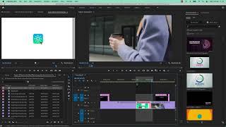 090 Replace with After Effects composition from Premiere Pro