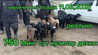 Чирокчи мол бозори кузилар  сотилган реально нархларда танишамиз 12,03,2025