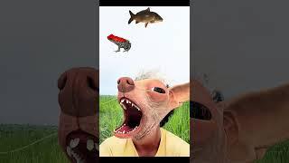 wow cakeflying eatingpapaya vs anar | anaya video |#viral#anayaanayaka video#shorts28