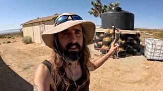 Off Grid Skater Homestead Fundamentals