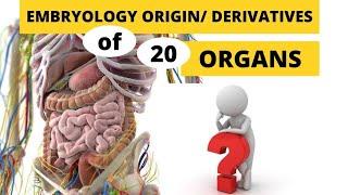 EMBRYONIC ORIGIN OF 20 ABDOMINAL ORGANS