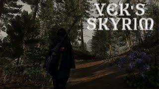 Best Modded Skyrim You'll Find Tonight (Hopefully) | 2900 Mods | ️ Permadeath ️