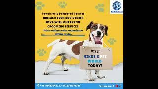 NIKKI'S PET WORLD- PET SHOP | PET GROOMING SPA | VET CARE | PET CLINIC  | PET KENNELS - HYDERABAD