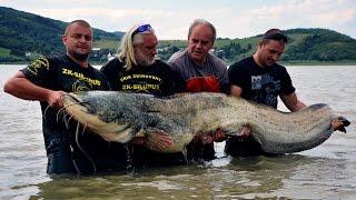 Rekordný sumec z Domaše 264cm 100kg+ Slovakia Catfish