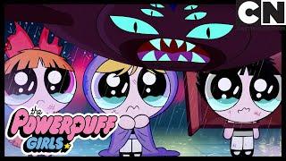 АТАКА ГИГАНТСКОГО ПАУКА! - Арахно-романс | Суперкрошки ХЭЛЛОУИН | Cartoon Network