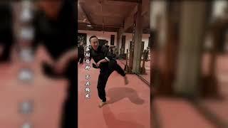 Master Tu Tengyao | Arts of Fighting | Training | Wing Chun