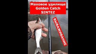 Маховое удилище Golden Catch SINTEZ pole на вываживании. Удилище маховое Голден Кетч Синтез