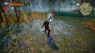 The Witcher 3: Wild Hunt O Da Neydi? Kupa Rehberi