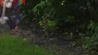 Gavin a vid to his awsomeness