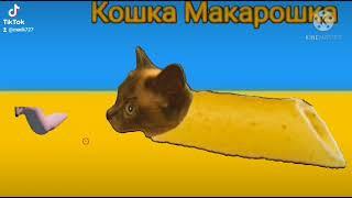 Кошка Макарошка