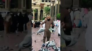 [Hafiz M Arslan Aslam Raza Qadri Rizvi] [Makkah]