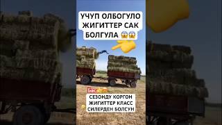 ТАЗА МЭЭНЕТ️ #моялошадь #дуэт #лошадки #rek #тренд #юмор #той