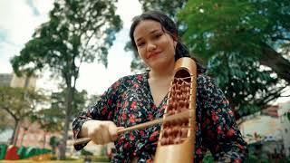 ¡Visita Ibagué y descubre sus diversos sonidos! Colombia, #ElPaísDeLaBelleza