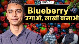 Berry की खेती कैसे करें | Profitable Farming From Small Land in India | AgriTalk ( Hindi Video)