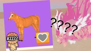 What do the numbers and ribbons mean? Horse Life ROBLOX // SakuraStallion