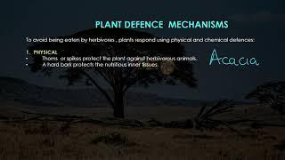 GRADE 12 - LIFE SCIENCE - PLANT - PLANT DEFENSE MECHANISMS