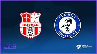 2025 NPLWVIC Round 13: Essendon Royals SC v Box Hill United FC