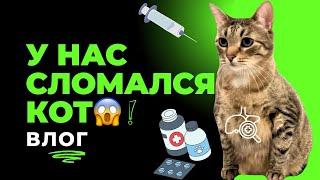 У НАС СЛОМАЛСЯ КОТ!