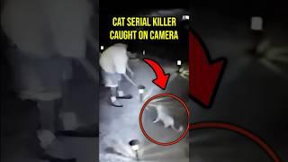 WATCH: Police Chief's Son Caught Killing Cats #crime #shorts #cctv