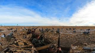 Wyobraska Waterfowl Duck Hunt - 360 Video