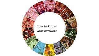 your guide to the fragrance wheel and scent families