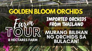 WELCOME TO OUR FARM!!! Golden Bloom Orchids Farm Tour