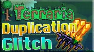 *2020* How To Duplicate ANY Item! (CONSOLE VERSION) (ONE CONTROLLER NEEDED) | Terraria 1.3