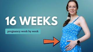 16 Weeks Pregnant  What to Expect: Changes for You & Baby Development