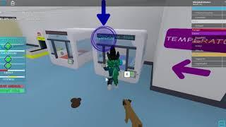 Roblox  Vet Simulator Ep 1 Hholykukingames Playing