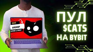 Как Заработать на Мем-Токене CATS: Лаунчпул на Bybit и Bitget! Пассивный Доход и Токены Бесплатно