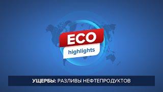 Ущербы: разливы нефтепродуктов