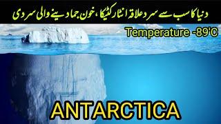 Life In Antarctica | Antarctica Life | Antarctica The Frozen Continent