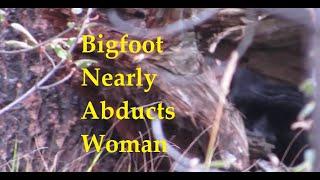 Bigfoot nearly abducts woman.  Incredible Sasquatch encounter