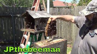 Bees Fly Free At Air Bee N Bee!