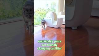 sustainably yours eco friendly clumping cat litter