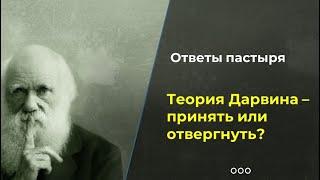 Как православному человеку относится к теории Дарвина