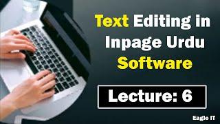 How to use Text Editing Ribbon Bar in inpage | Urdu Hindi