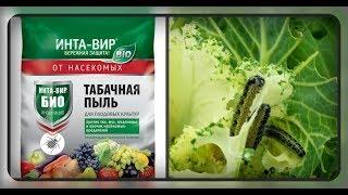 Табачная пыль защитит ваш огород!!