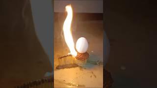 Amazing science hack #shorts #hack #trending #viralshorts #viralvideo #tiktok #lie