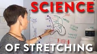 The Science of Stretching for Goalies: Hockey Goalie Training