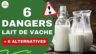 LES DANGERS DU LAIT DE VACHE POUR LA SANTÉ (+ALTERNATIVES LAITS VÉGÉTAUX)