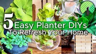 5 Easy DIY Planter Ideas to Refresh Your Home