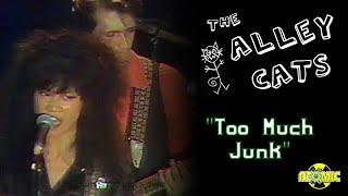 Alley Cats - Too Much Junk (Music Video)