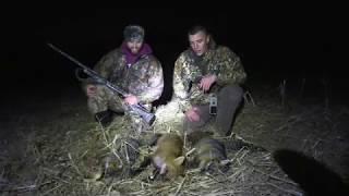 AMAZING PA Fox Hunt   *MUST SEE*