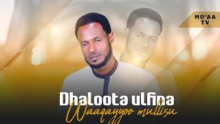 Dhaloota Ulfina Waaqayyoo Mullisu - Wangeelli Hundaaf /Kutaa 4ffaa