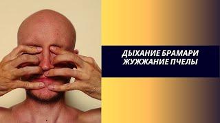 Брамари - жужжание пчелы