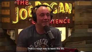 Joe Rogan: THE TRUTH About Regular 9-5 Jobs...