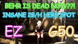 BDO Gathering in 2020 - New BEST Gathering spot? Behr's Dead - 2b/h, easy g50!