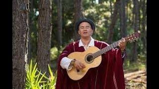 FREDY VELASQUEZ - UN PAJARITO